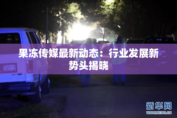 果冻传媒最新动态：行业发展新势头揭晓