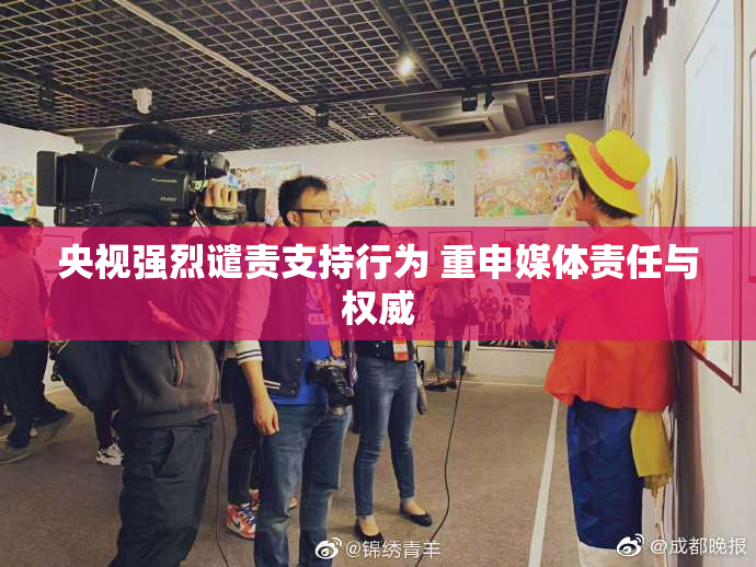 央视强烈谴责支持行为 重申媒体责任与权威