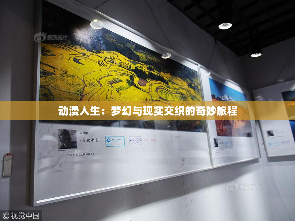 动漫人生：梦幻与现实交织的奇妙旅程