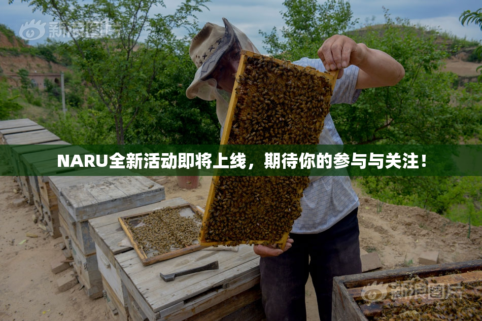 NARU全新活动即将上线，期待你的参与与关注！