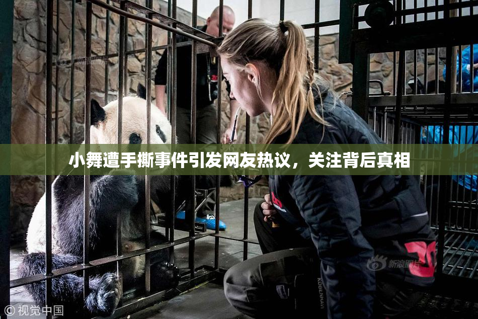 小舞遭手撕事件引发网友热议，关注背后真相