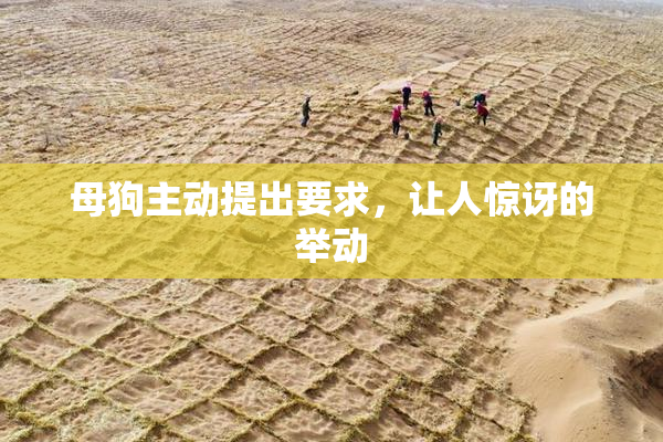 母狗主动提出要求，让人惊讶的举动