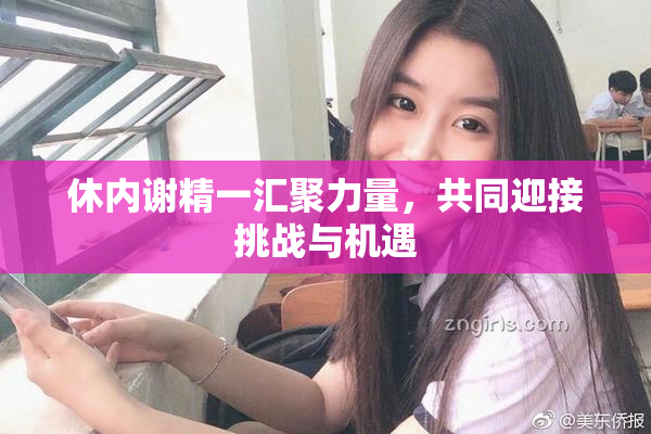 休内谢精一汇聚力量，共同迎接挑战与机遇