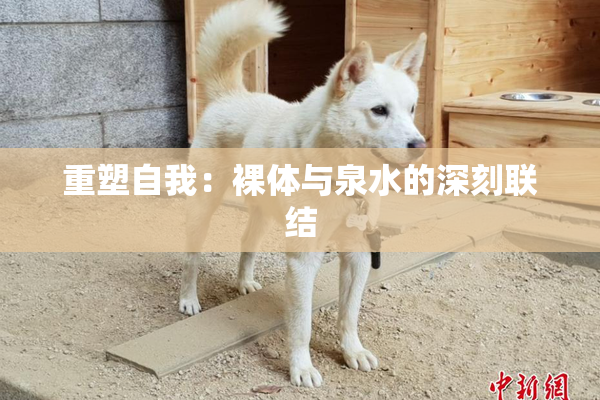 重塑自我：裸体与泉水的深刻联结