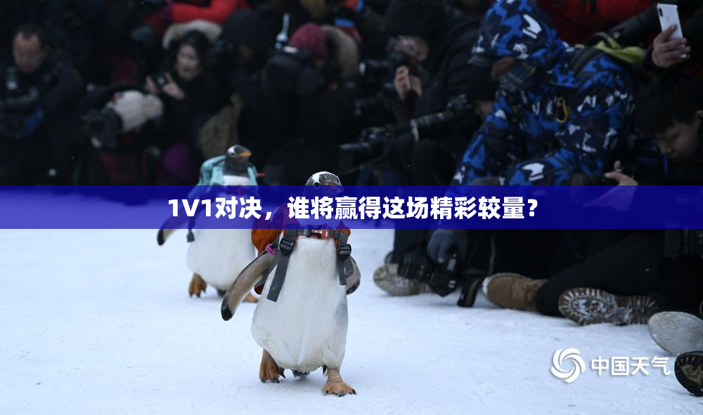 1V1对决，谁将赢得这场精彩较量？