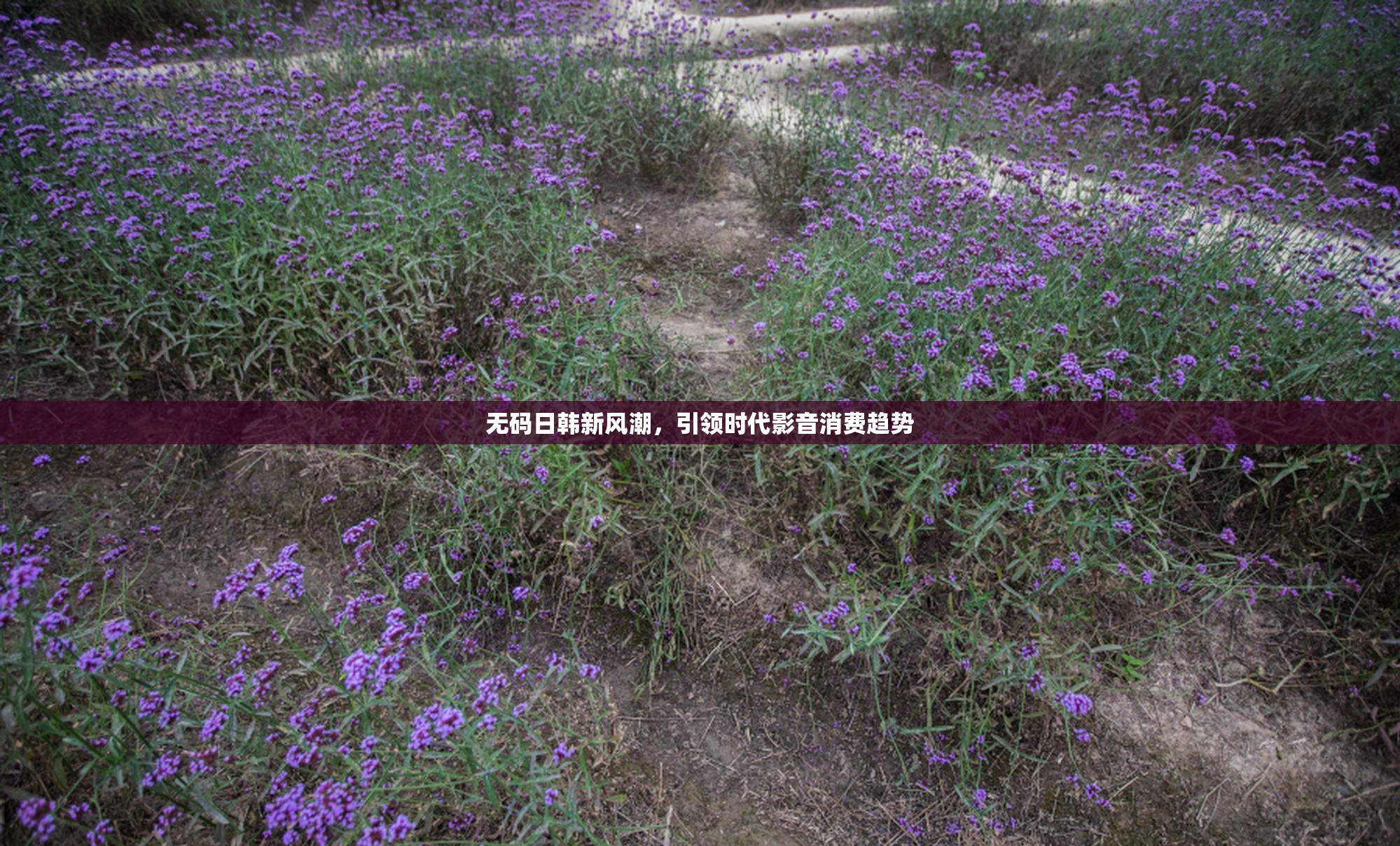 无码日韩新风潮，引领时代影音消费趋势