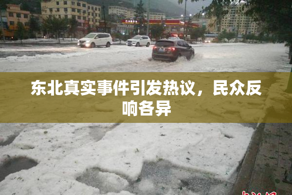 东北真实事件引发热议，民众反响各异