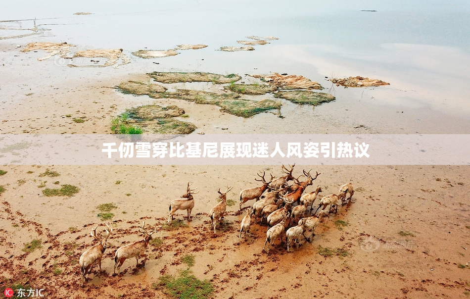 千仞雪穿比基尼展现迷人风姿引热议