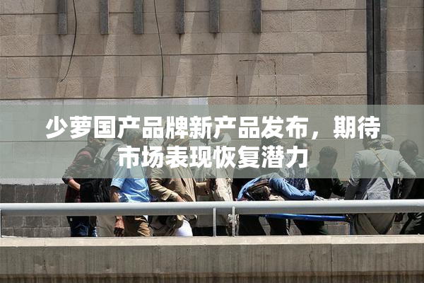 少萝国产品牌新产品发布，期待市场表现恢复潜力