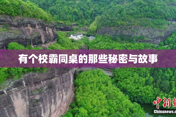 有个校霸同桌的那些秘密与故事