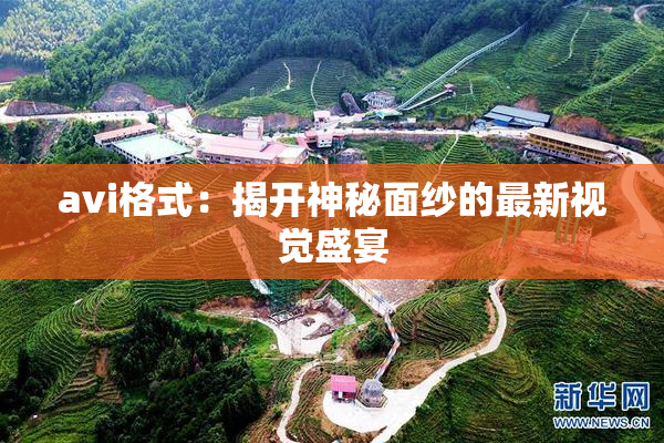 avi格式：揭开神秘面纱的最新视觉盛宴