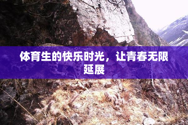 体育生的快乐时光，让青春无限延展