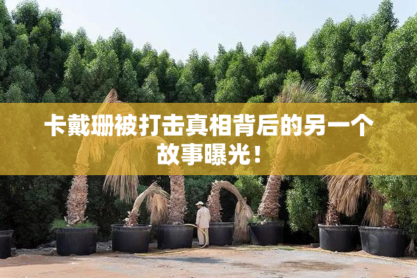 卡戴珊被打击真相背后的另一个故事曝光！