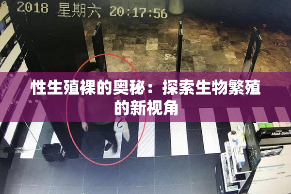 性生殖裸的奥秘：探索生物繁殖的新视角