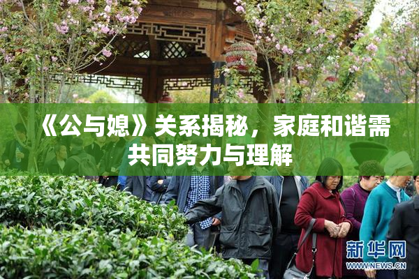 《公与媳》关系揭秘，家庭和谐需共同努力与理解