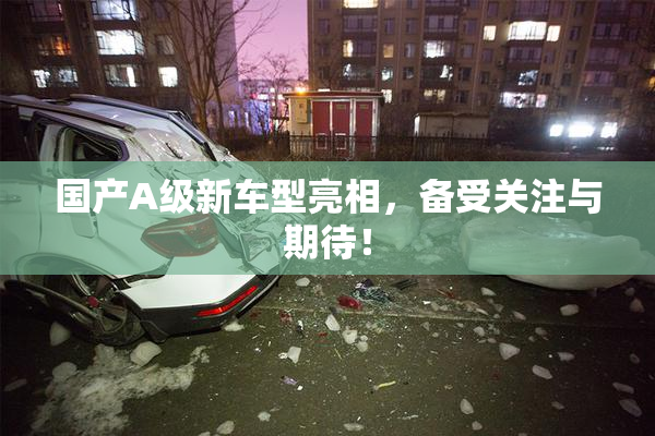 国产A级新车型亮相，备受关注与期待！
