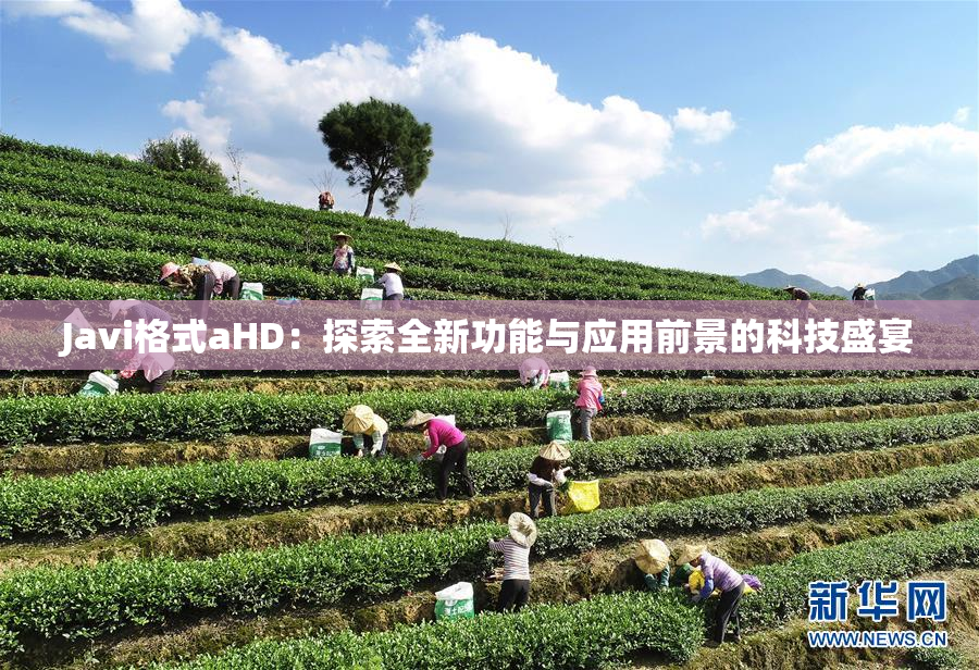 Javi格式aHD：探索全新功能与应用前景的科技盛宴