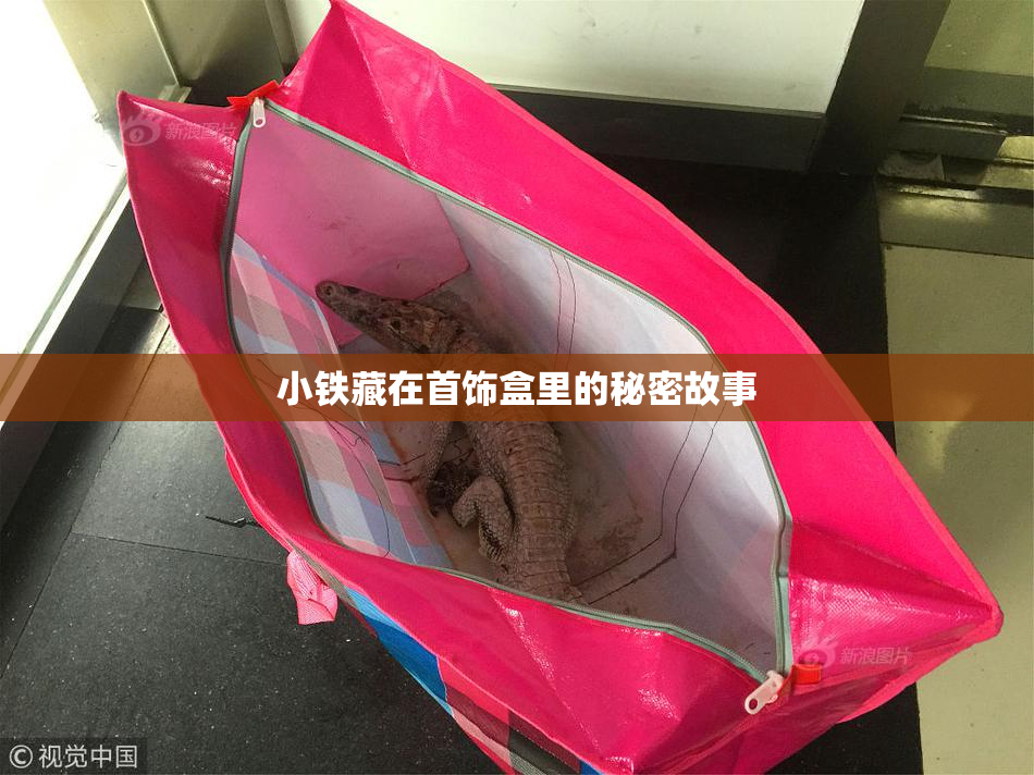 小铁藏在首饰盒里的秘密故事