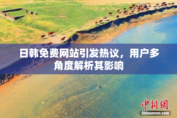 日韩免费网站引发热议，用户多角度解析其影响
