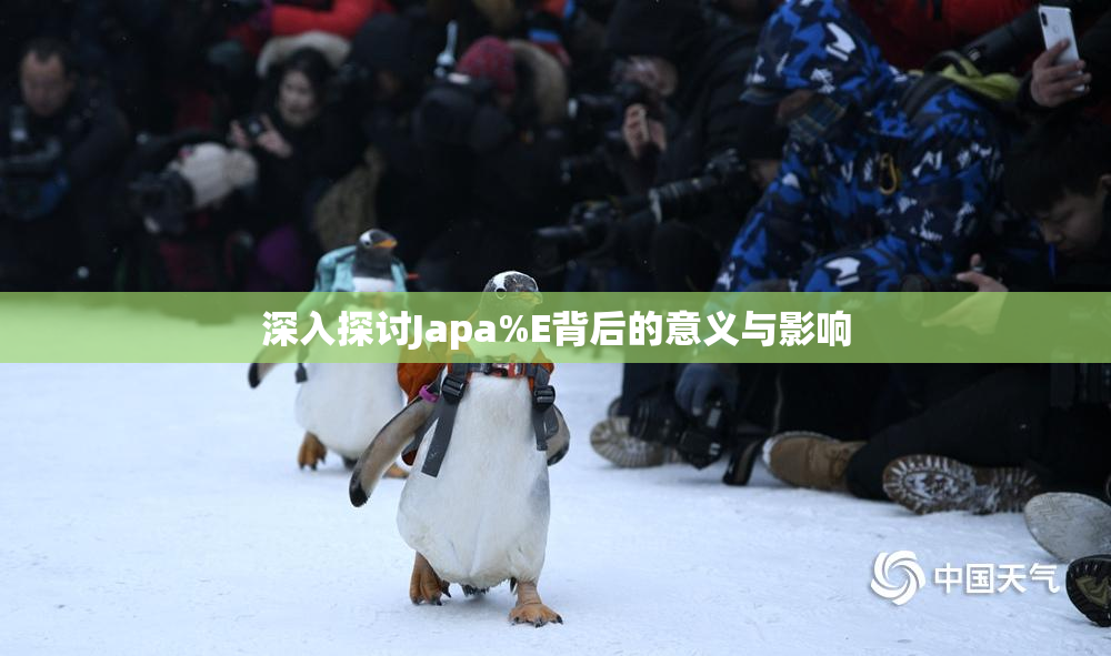 深入探讨Japa%E背后的意义与影响