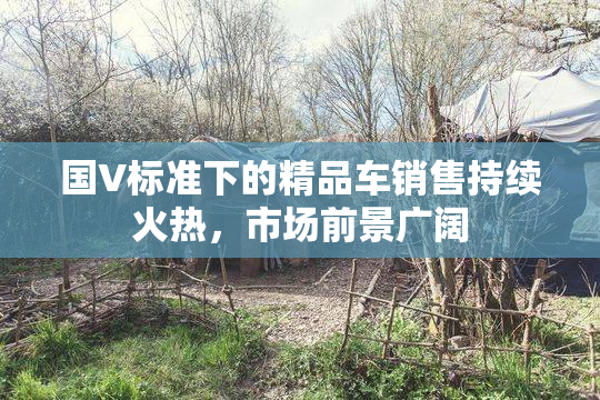 国V标准下的精品车销售持续火热，市场前景广阔