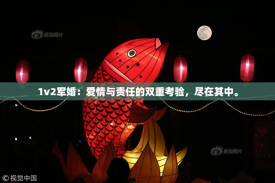 1v2军婚：爱情与责任的双重考验，尽在其中。