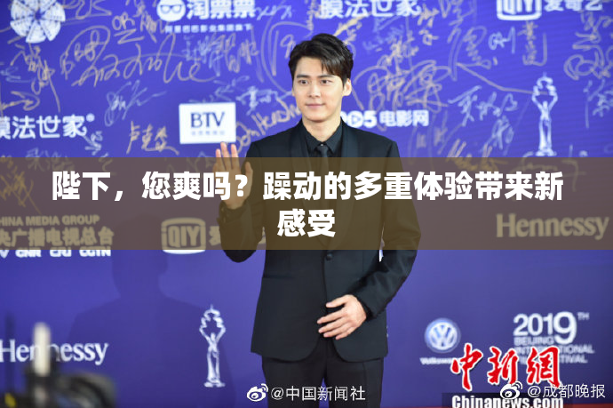 陛下，您爽吗？躁动的多重体验带来新感受