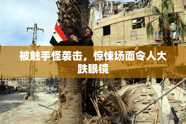 被触手怪袭击，惊悚场面令人大跌眼镜