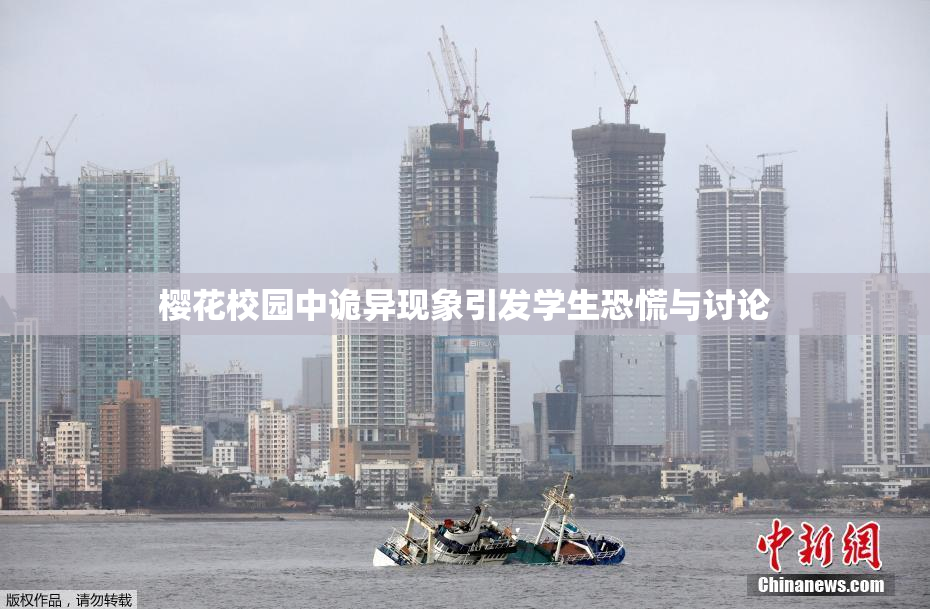 樱花校园中诡异现象引发学生恐慌与讨论