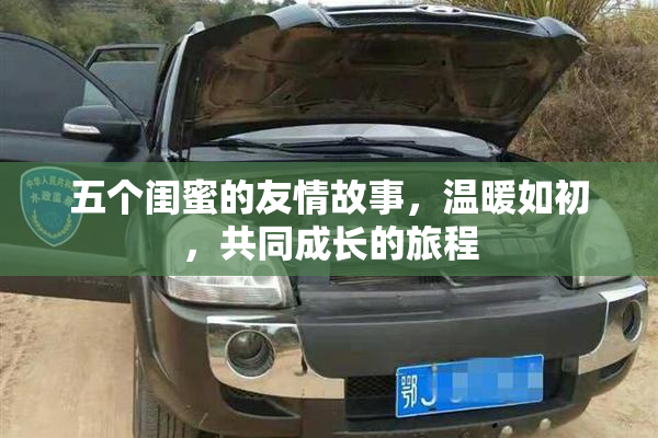 五个闺蜜的友情故事，温暖如初，共同成长的旅程