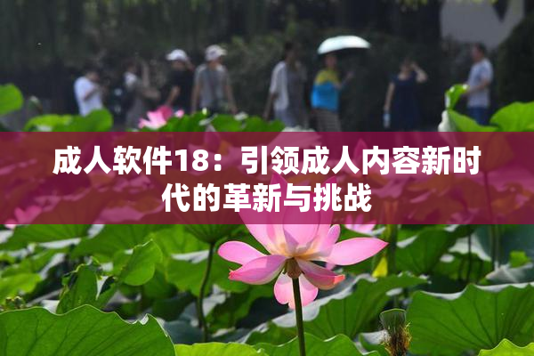 成人软件18：引领成人内容新时代的革新与挑战