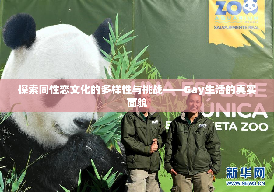 探索同性恋文化的多样性与挑战——Gay生活的真实面貌