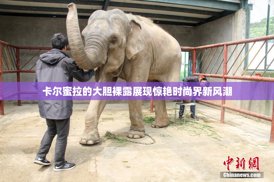卡尔蜜拉的大胆裸露展现惊艳时尚界新风潮