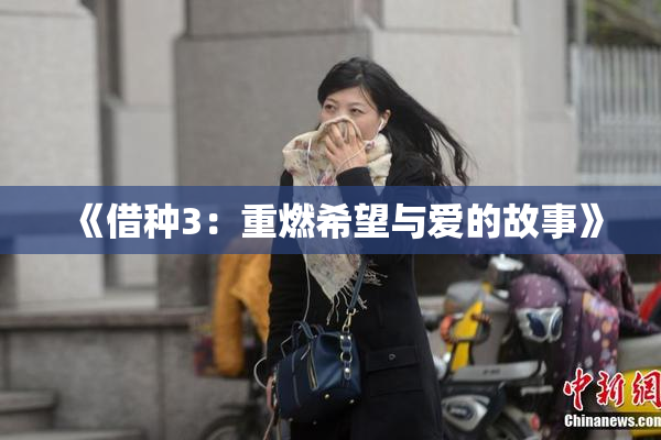 《借种3：重燃希望与爱的故事》