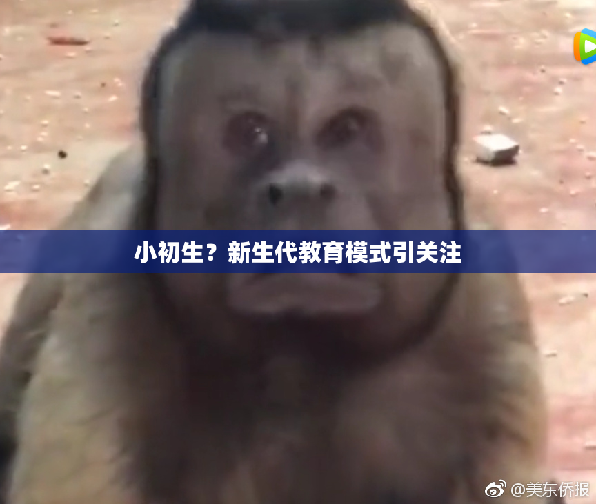 小初生？新生代教育模式引关注
