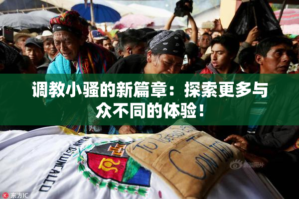 调教小骚的新篇章：探索更多与众不同的体验！
