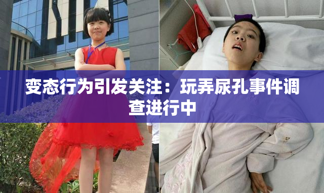 变态行为引发关注：玩弄尿孔事件调查进行中