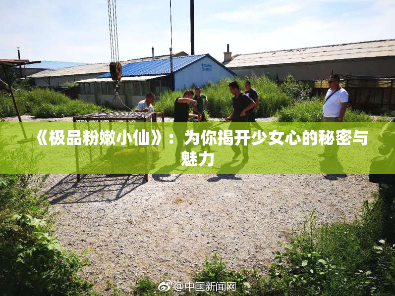 《极品粉嫩小仙》：为你揭开少女心的秘密与魅力