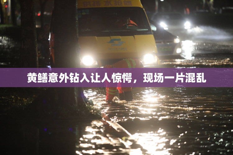 黄鳝意外钻入让人惊愕，现场一片混乱