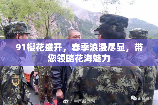 91樱花盛开，春季浪漫尽显，带您领略花海魅力