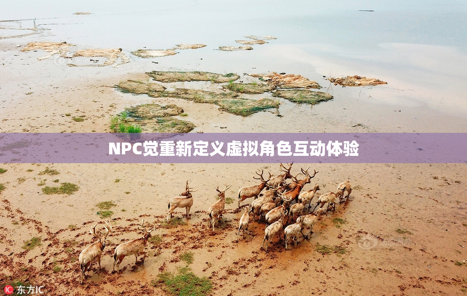 NPC觉重新定义虚拟角色互动体验