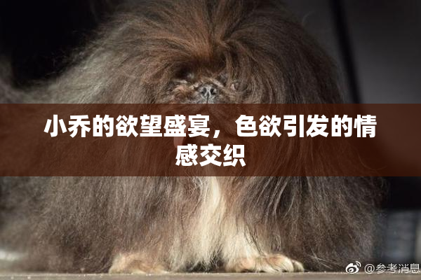 小乔的欲望盛宴，色欲引发的情感交织