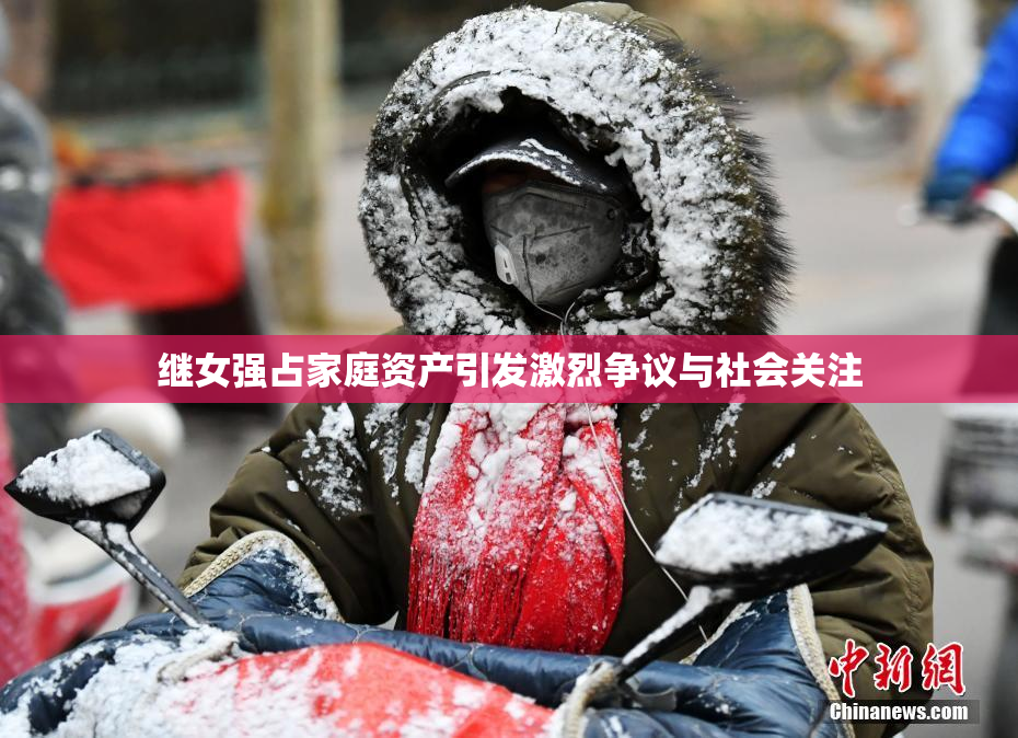 继女强占家庭资产引发激烈争议与社会关注