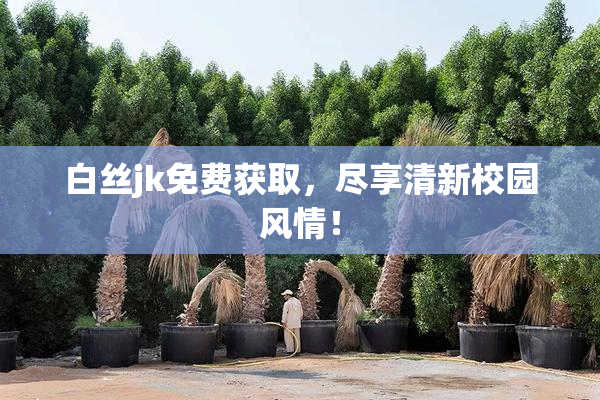 白丝jk免费获取，尽享清新校园风情！