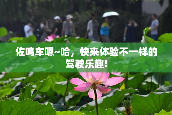 佐鸣车嗯~哈，快来体验不一样的驾驶乐趣!