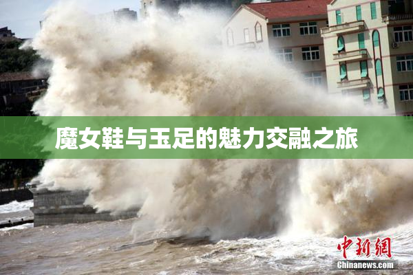 魔女鞋与玉足的魅力交融之旅