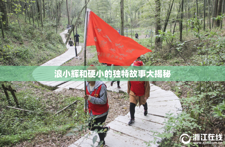 浪小辉和硬小的独特故事大揭秘