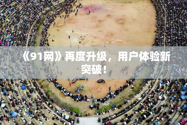 《91网》再度升级，用户体验新突破！