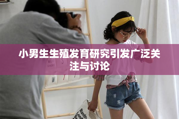 小男生生殖发育研究引发广泛关注与讨论