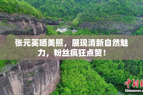 张元英晒美照，展现清新自然魅力，粉丝疯狂点赞！
